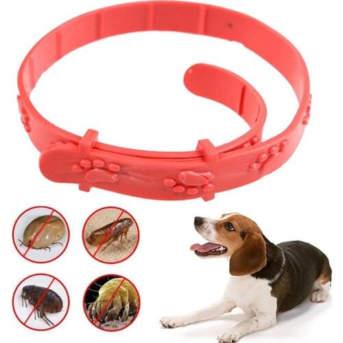 Necklace Acari 1PC New Chain Collar Neck Strap Fashion Cat Dog Remedy Protection Tick Anti Flea Mite Pet Collar