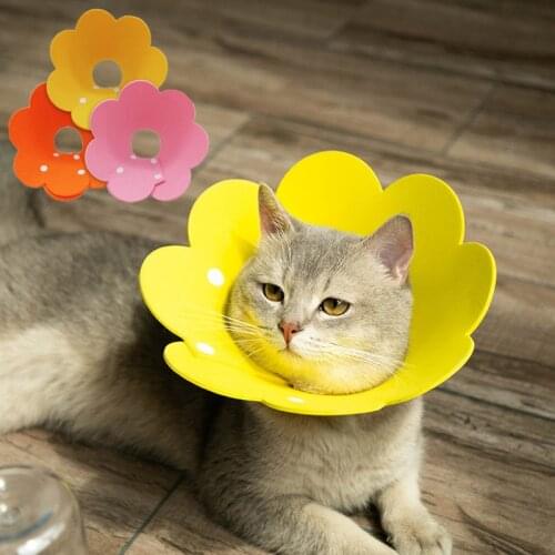 Dog Cat Elizabethan collar Flower Shaped Pet Collar Wound Healing Protection Collar Anti-Lick Cat Recovery Collar Pet Products