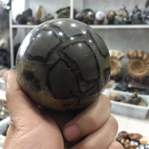 1pcs drop shipping natural stones and minerals septarium sphere reiki healing dragon rock ball for home and office decoration
