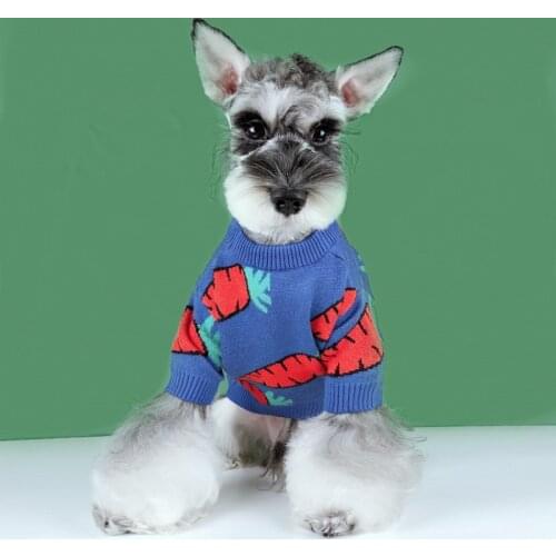 2021 New Pattern Fashion Pet Clothes Dog Cat Wei Clothing French Bulldog Teddy Poodle Cute Carrot Sweater