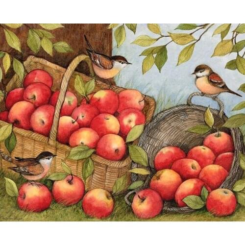 Jmine Div 5D Apple Bird Full Diamond Painting cross stitch kits art High Quality Animal 3D paint by diamonds