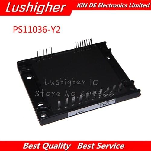PS11036-Y2