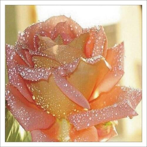 5D DIY Diamond Painting Crystal Rose Flower Embroidery Mosaic Home Decoration Mural Gift T148