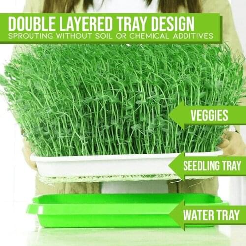 Germination Sprouting Tray Grow Labels Nursery Planting Box Plastic Pots