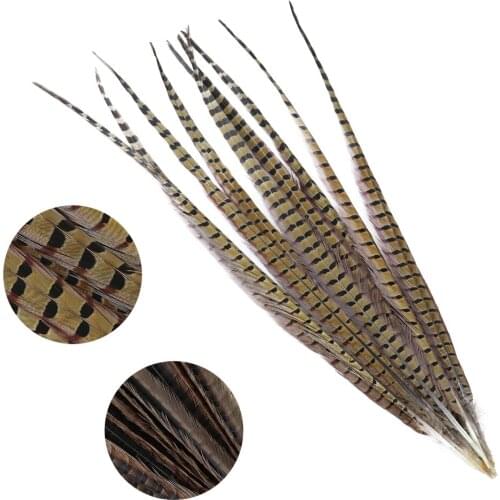 Multiple Size Natural Pheasant Tail Feathers Jewelry Accessories Headwear Decoration Plume for Vase Crafts Wholesale