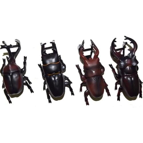 Lot of 4 Yujin Insect Allomyrina Beetle Bug Toy Loose Action Figure Model Set