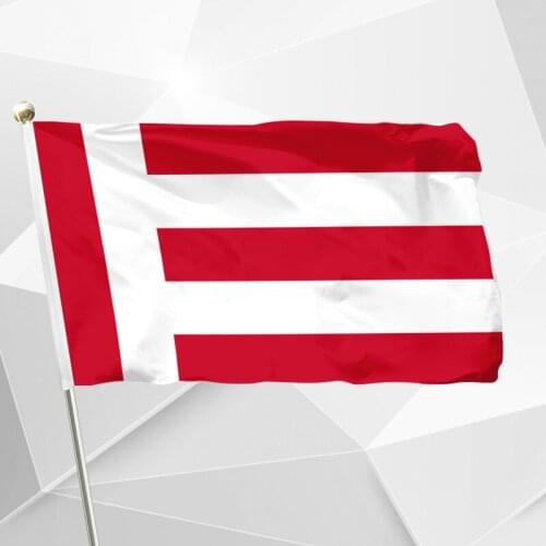 Netherlands Eindhoven Flag 150X90cm (3x5FT) 120g 100D Polyester Double Stitched High Quality Banner Free Shipping