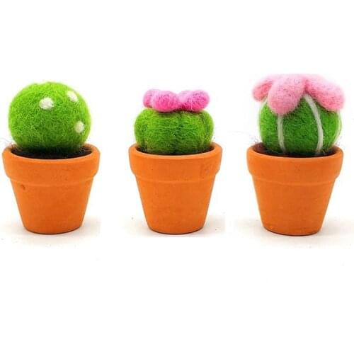 Needle Felting Kits for Beginners 3 Pcs Mini Cactus, Felting Mat, Felting Needles, Finger Guards, Instruction, DIY Felting Craft
