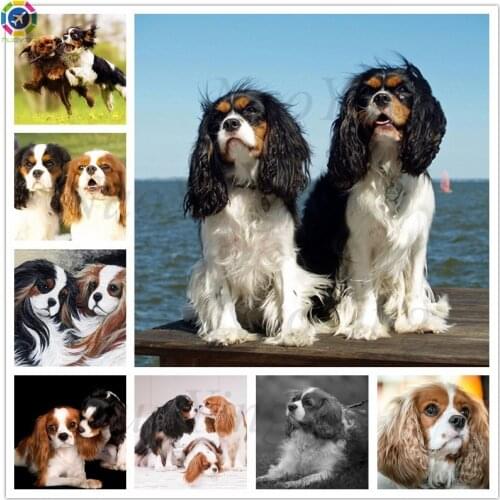 Square/round Cavalier King Charles Spaniel 5d Diamond Painting Cross Stitch Kit Diamond Embroidery Mosaic Picture Home Decor