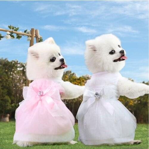 Bride Dresses For Small Dogs York Dog Summer Chihuahua Pomeranian Clothes Girl Poodle Pink Skirt Cat Princess Wedding Dress 2021