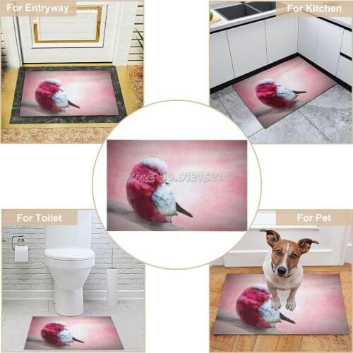 Soft Galah Doormat Entrance Floor Mat Hallway Printed Non-slip Floor Rugs Front Door Mats Outdoor Carpet 40*60cm 1Pc Moneypenny