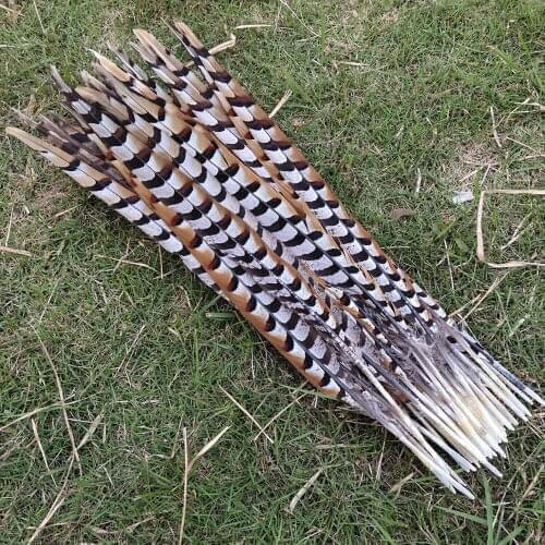 Wholesale 100pcs High Quality 24-26inch/60-65cm Natural Copper Tail Chicken Feathers Stage Performances Craft Making Decoration