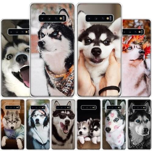 Siberian Husky Cute Cover Phone Case For Samsung Galaxy A51 A71 A70 A50 A40 A30 A20E A10S A41 A21 A01 A6 A7 A8 A9 Plus Coque
