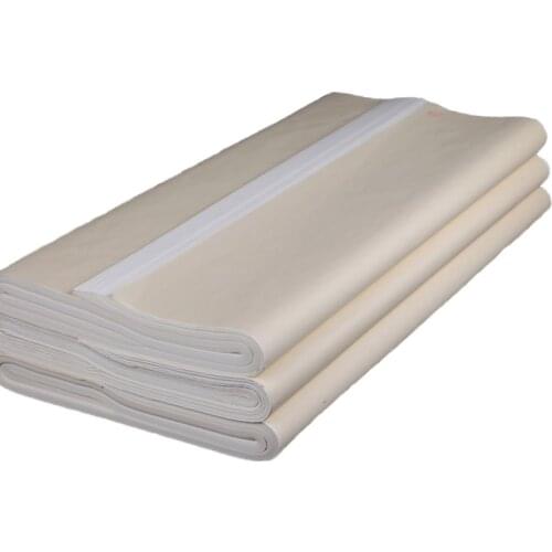 Ripe Xuan Paper Chinese Calligraphy Painting Special Paper White Xuan Papier Thicken Papel Arroz Beginners Student Rice Paper
