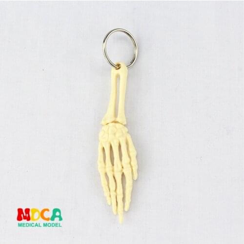 Human hand bone key lock ornament gift pendant key buckle human.organ anatomy medical teaching toy YSK008