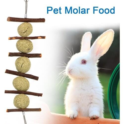 Carrot Shape Pet Teeth Grinding Toys Promote Digestion For Hamster Rabbit Chinchilla Hanging Hay Ball Natural Pet Chew Toy