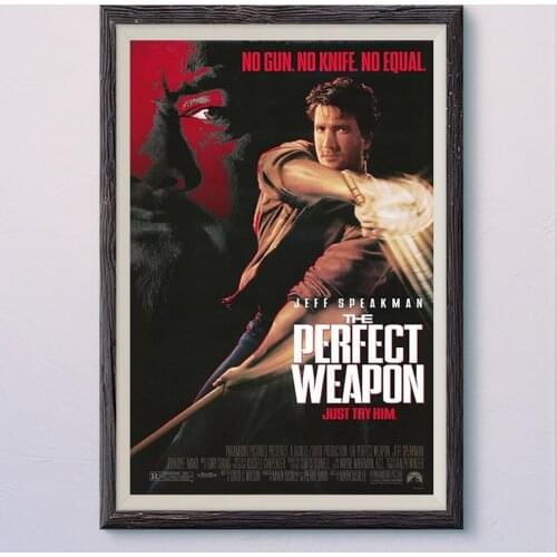 N499 THE PERFECT WEAPON Vintage Classic Movie Wall Silk Cloth HD Poster Art Home Decoration Gift