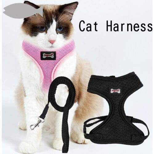 Mesh Pet Harness Cat Harness Set Cat Kitten Walking Leash and Harness 2 colors