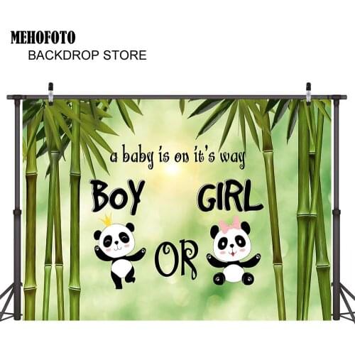 Newborn Gender Reveal Backdrop for Photography Panda Newborn Baby Shower Background for Photo Booth Studio Party Decoration Prop