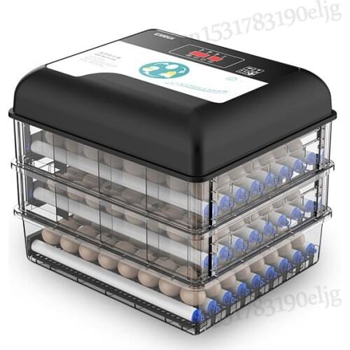 Incubator Full Automatic Domestic Chicken Duck Goose Incubator Small Water Bed Incubator Intelligent Incubator