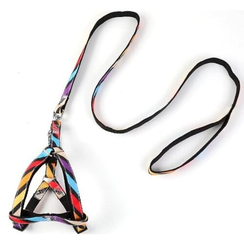 Cat Harness Leash Set Small Dog Adjustable Vest Collar Puppy Outdoor Walking Chihuahua Terier Schnauzer