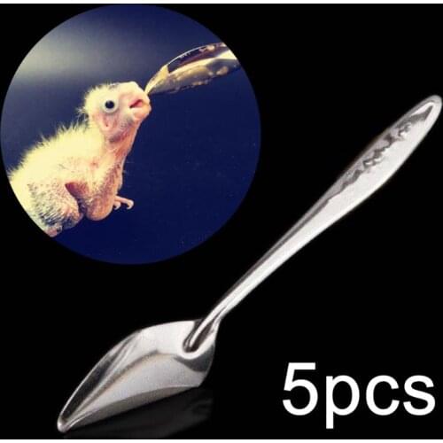 5 Pcs Baby Bird Pointed Feeding Spoon Stainless Steel Milk Medicine Parrot Feeder for All Baby Bird Peony Cockatiel