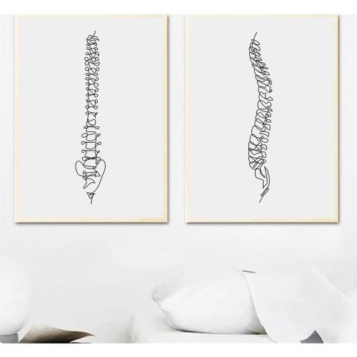 Human Anatomy Artwork Medical Wall Art Poster Muscle Skeleton Pictures Vintage Print Nordic Canvas Painting Education Home Decor