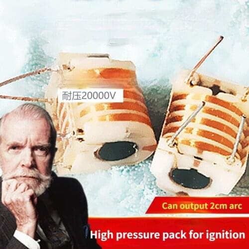 Genuine 20kV high frequency high voltage transformer ignition coil inverter soot purifier negative ion generator