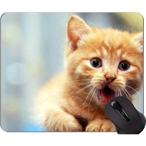 Mouse Pad with Stitched Edge,Kitten Pet cat Home Office Computer Accessories Mousepads