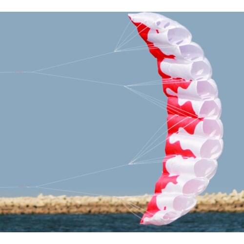 Professional Dual Line Power Kite Surfing Stunt Kite Summer Beach Kite Kitesurfing Trainer Fly Kite Wing for Outdoor Water Sport