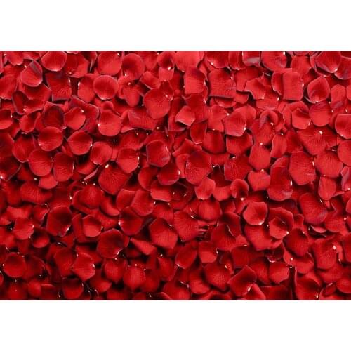 Photography Backgrounds Red Flower Petals Computer Printed Backdrop for Lovers Valentines Day Birthday Photobooth Fond Photo