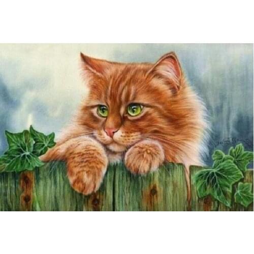MaHuaf-W1428 cat on the fence Paint By Number Kit Diy Acrylic Painting On Canvas cuadros decoracion for home decor