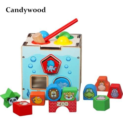 Candywood New Kids Toys Multi-function Intelligence Box Montessori Educational Wooden Toys For Children montesori educativo