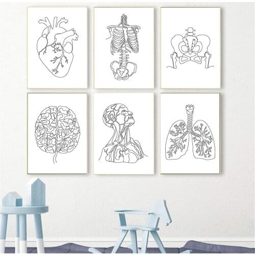 Medical Human Anatomy Organ Skeleton Wall Art Poster Brain Heart Print Skull Kidney Canvas Painting Nordic Clinic Hospital Decor