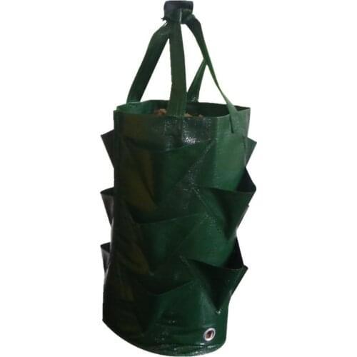 Multi-mouth Container Bag Grow Planter Pouch Root Plant Green Growing Pot Side 3 Gallons Z30604
