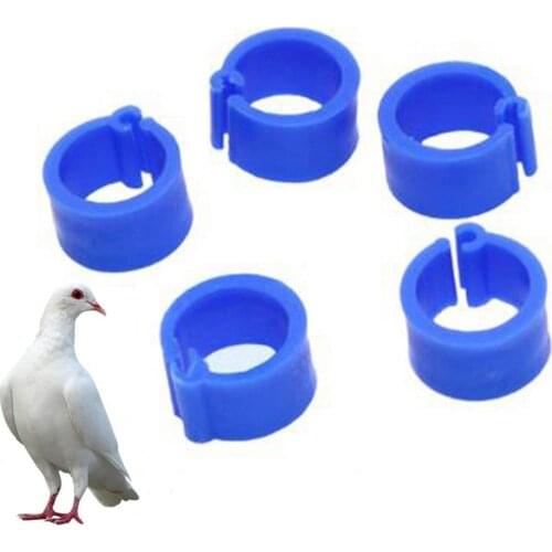 100Pcs Birds Leg Clips Harmless Extensible Plastic Color 8mm Pigeon Foot Ring For Pet Parrot Small Foot Sleeve Colorful Circle