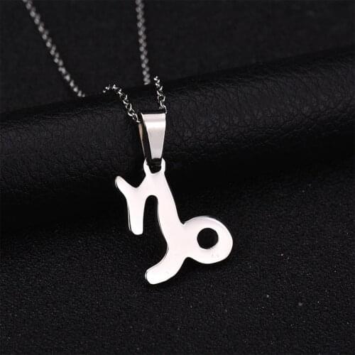 12 Constellations Stainless Steel 3 Colors Zodiac Sign Capricorn Pendant Necklace Name Necklace For Loves Gift Bijoux