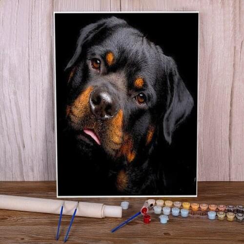 Animal Dog Rottweiler DIY Painting By Numbers Kit Oil Paints 50*70 Picture By Numbers Photo New Design Crafts Adults Art