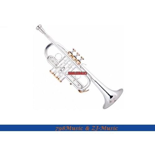 Silver Plated Eb/D Trumpet Monel Valve Gold Tuning Pipe With Case