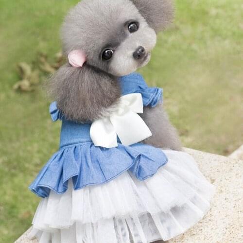 Newly Summer Puppy Pet Small Dog Cat Lace Bow Jeans Dress Tutu Princess Skirt Casual Korean Mesh Dresses Clothes