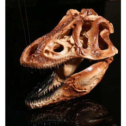 1/12 Tyrannosaurus Rex Dinosaur Skull Handicrafts Resin Fossil Simulation Skull Model For Collectibles