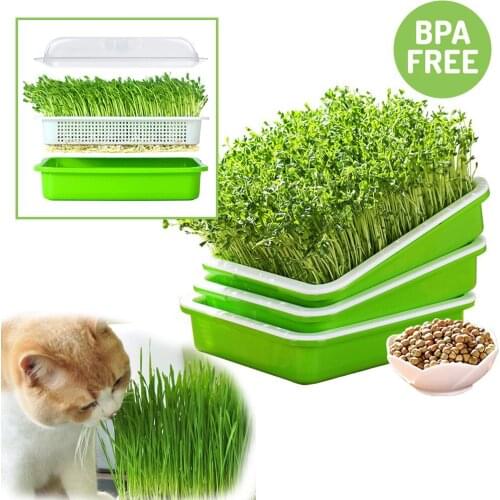 Soil-Free Seed Sprouter Tray BPA Free Garden Nursery Trays Large Capacity Plants Seedling Pot Healthy Wheatgrass Grower With Lid