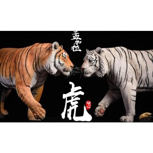 JxK Studio Jxk012 1/6th Scale Bengal tiger /White tiger