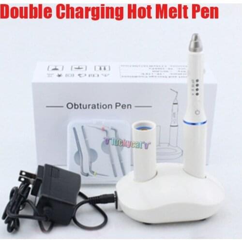 1PCS Double Charging Dental Cordless Teether Percha Obturation Pen Endo Heater Hot Melt Filling System with 4 tips