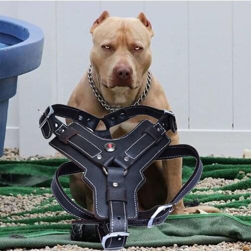 Handmade leather dog harness, pitbull leather harness, large leather dog harness, genuine leather dog harness