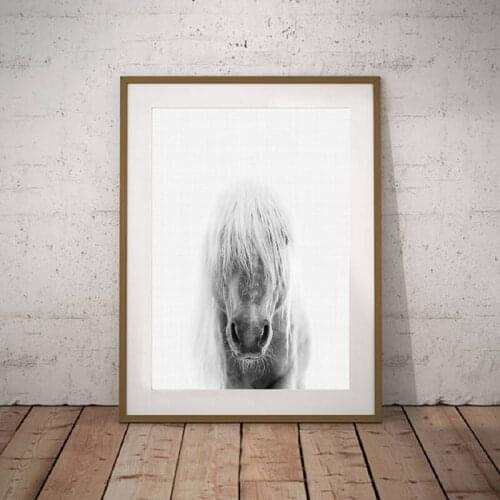 Horse Modern Photography Picture Canvas Painting Black White Animal Horse Posters and Prints for Living Room Home Wall Art Decor