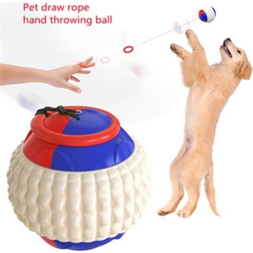 Dogs Interactive Training Molar Teeth Resistant Biting Golfers Throwing Puppy Brain Game Toy Balls Pet Accessories