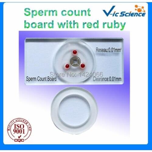 Hot Sale Sperm Count Board With Red Ruby