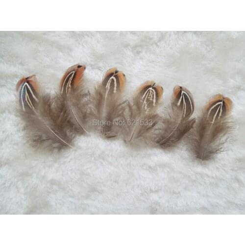 200Pcs/Lot! 4-7cm NATURAL Ringneck Pheasant Plumage Feathers,Loose Ringneck Pheasant Small Feathers