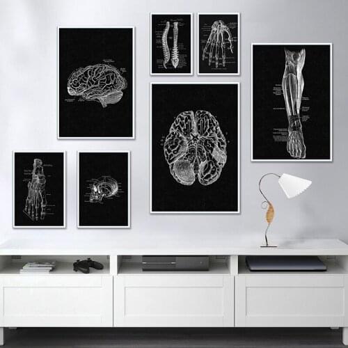 Human Anatomy Poster Canvas Printing Art Wall Painting Bone Foot Hands Organ Artwork Medical Clinic Wall Decoration Pictures